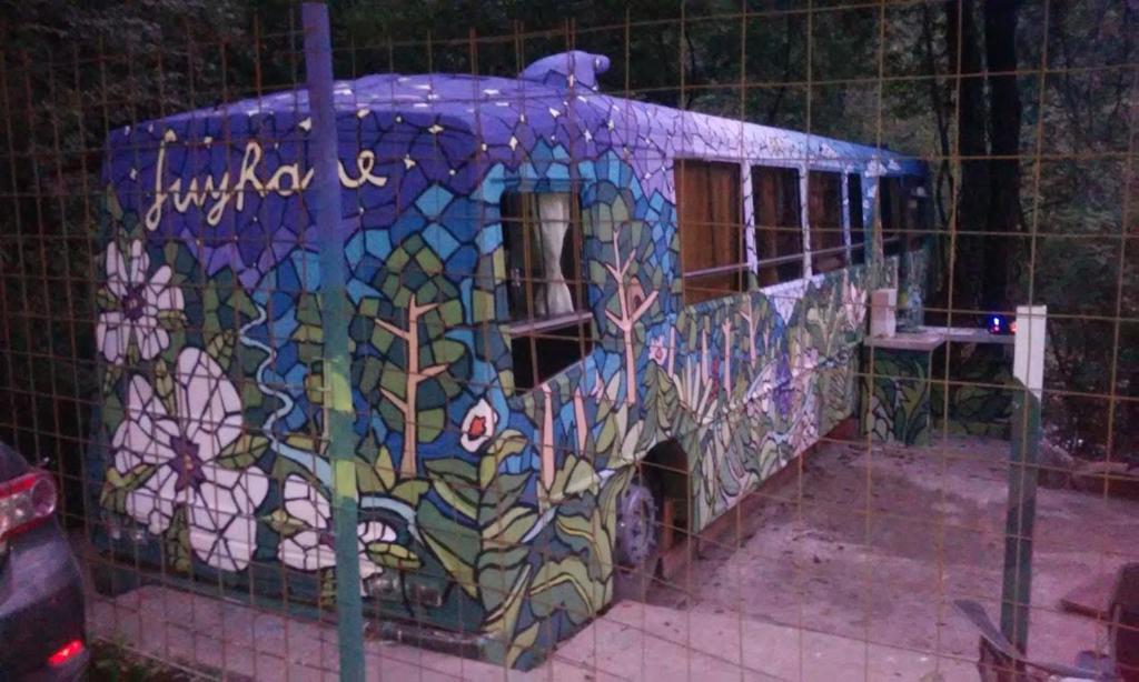 Cabaña Bus LUYHANE photo 4