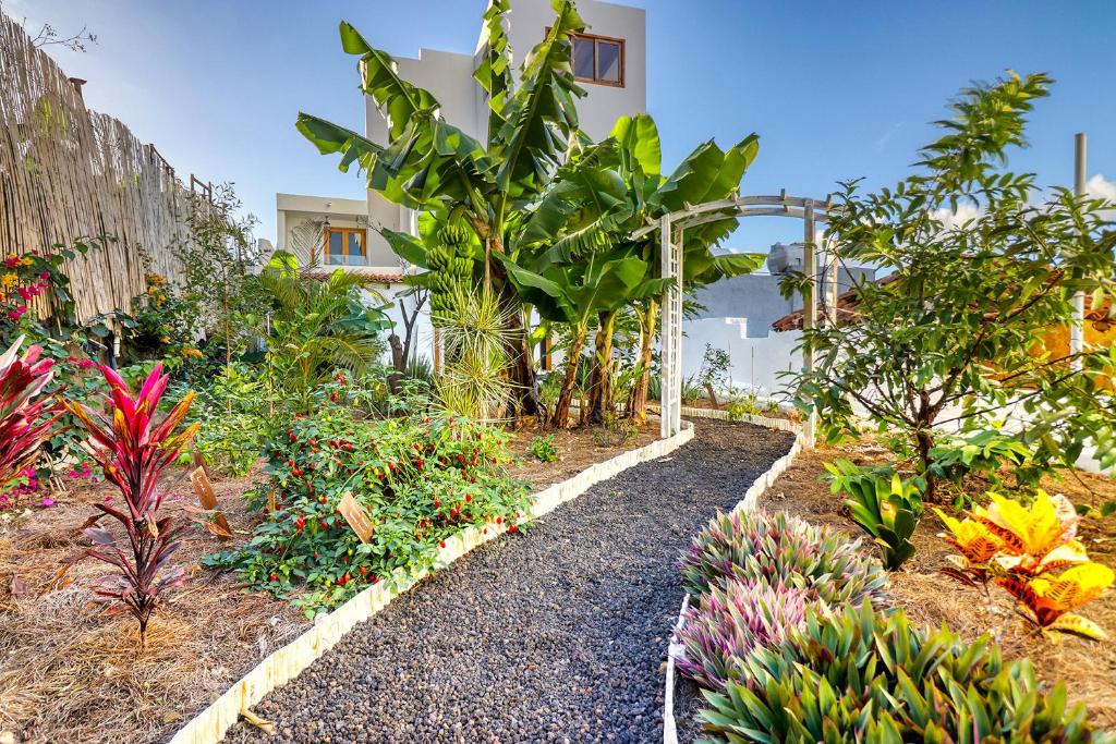Spacious Home with Tropical Garden, BBQ, Near Seaside photo 4