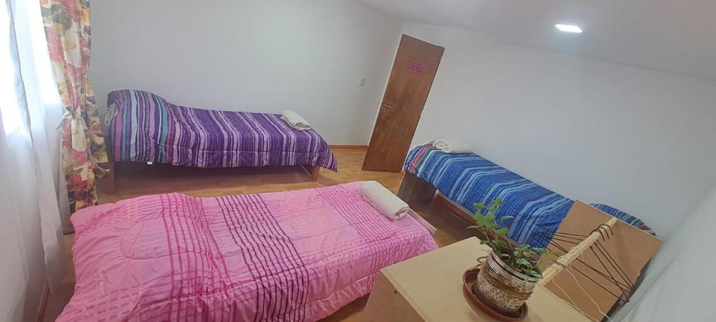 Casona Los Coihues photo 2