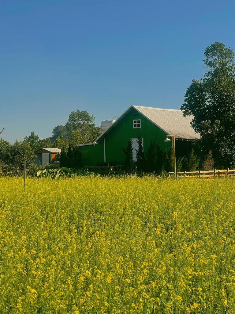 Hà An Homestay Đà Lạt