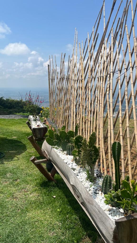 Glamping ríos voladores pereira photo 3