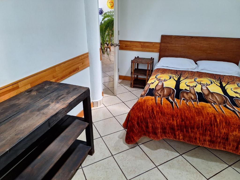 Hostal Casa Del Sol Comitan photo 4