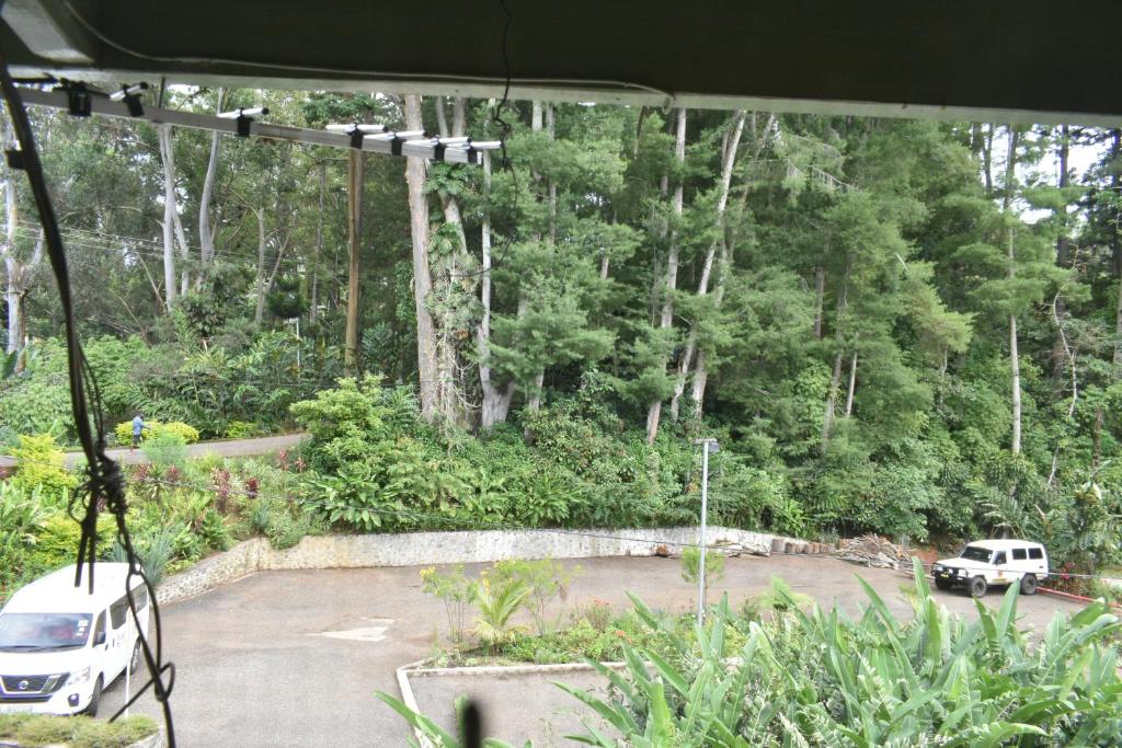Pacific Gardens Hotel photo 3