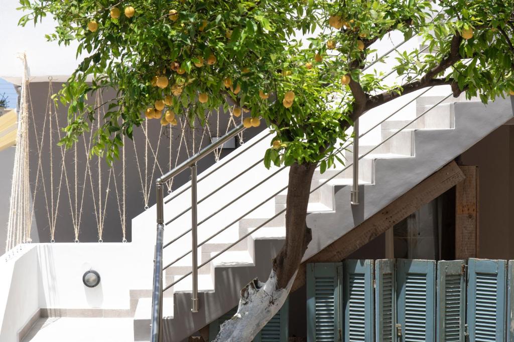 Chania Design Suites photo 1