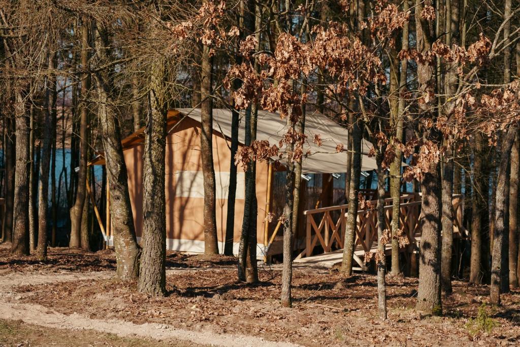 Glamping Mazury - Przystań Jeziorany photo 1