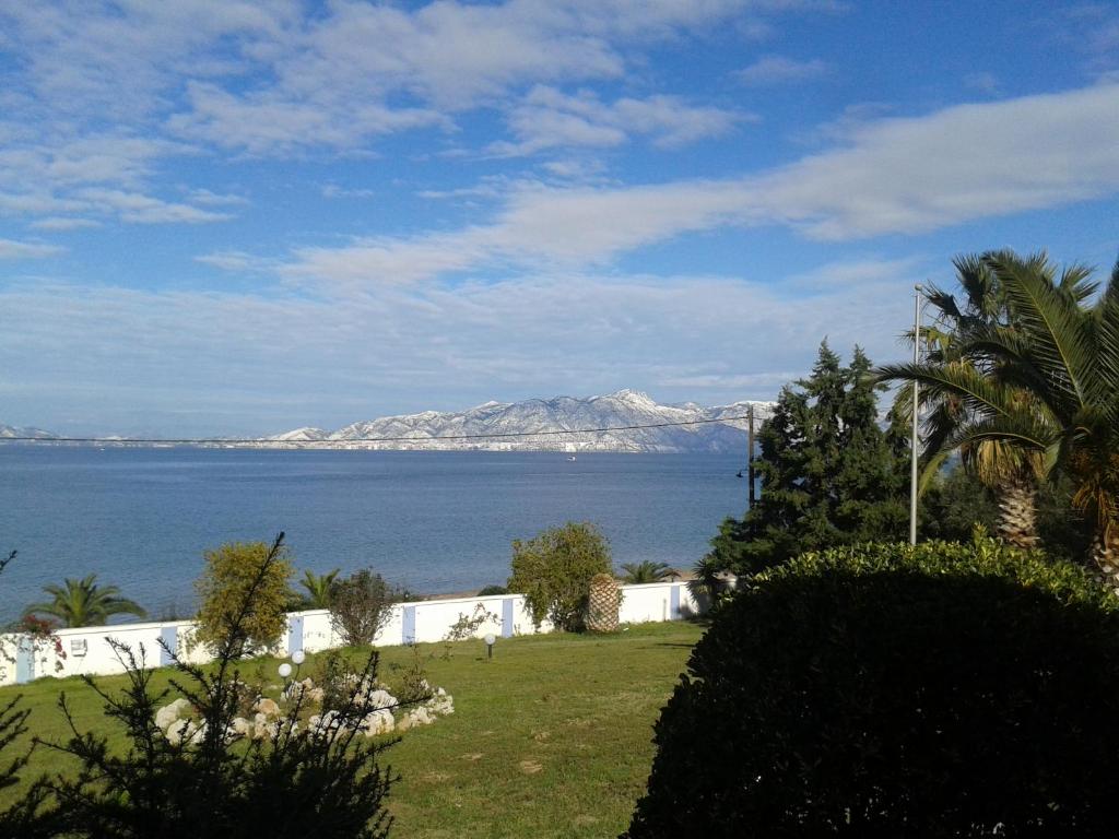VILLA DINA photo 4