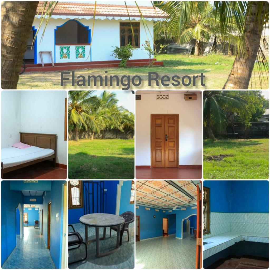 Flamingo Resort