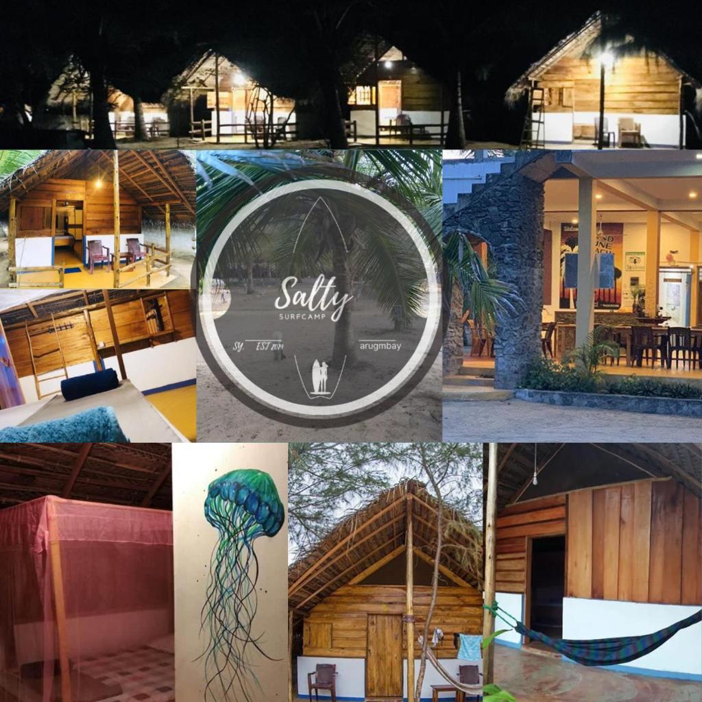 salty surf camp photo 3