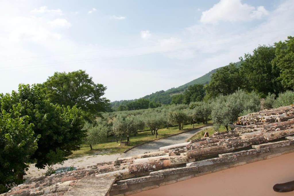 Villa Il Borghettaccio photo 4