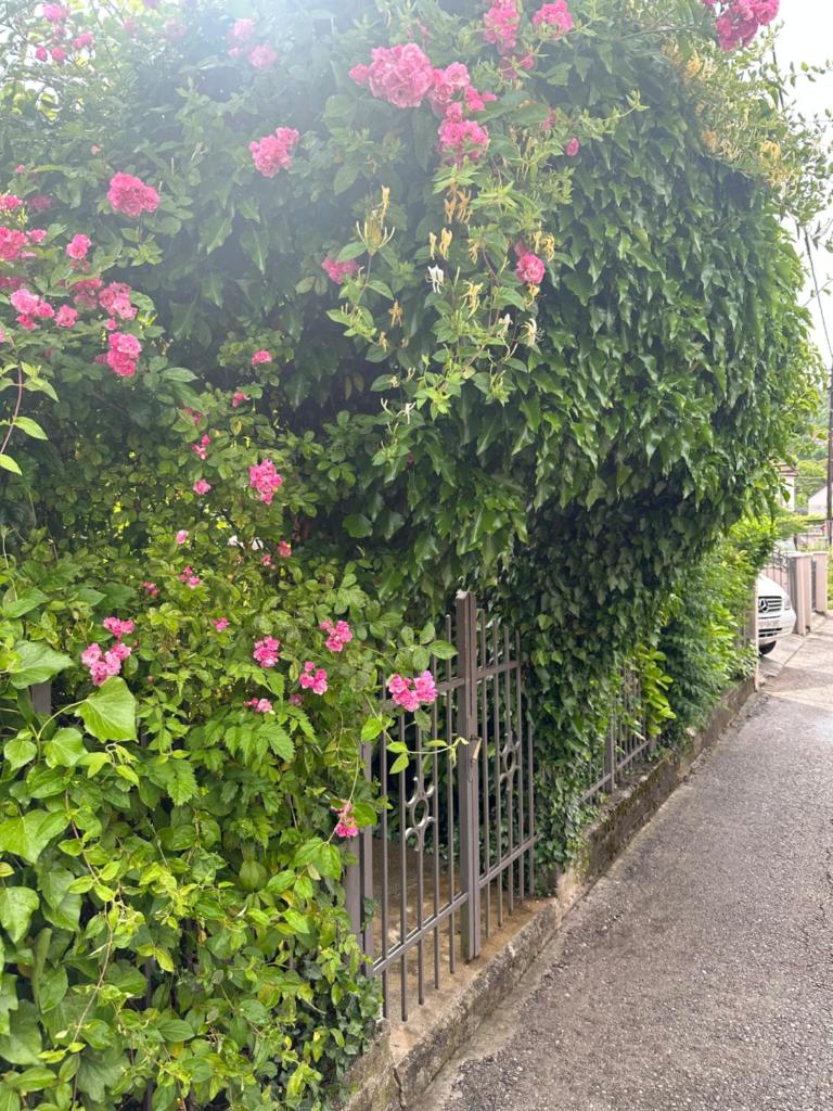 Apartman Lili photo 1