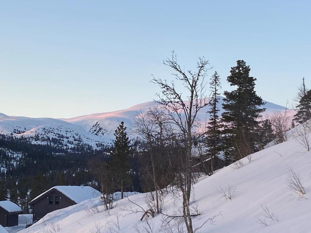 Norefjell, ny flott hytte til leie photo 2