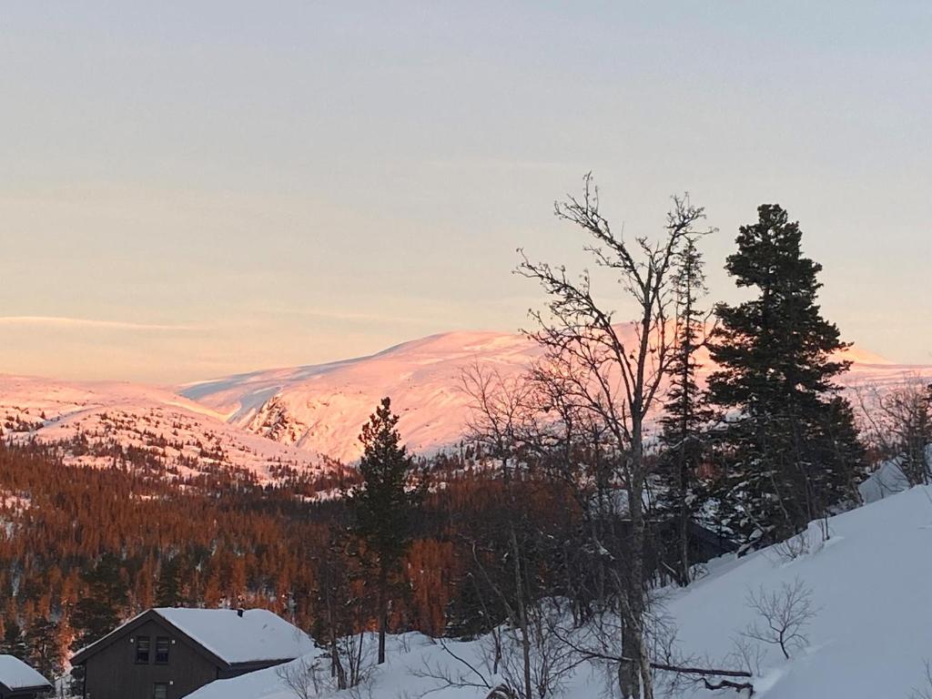 Norefjell, ny flott hytte til leie photo 4