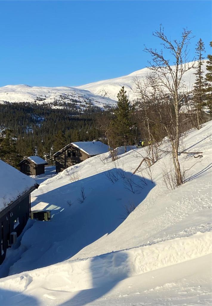 Norefjell, ny flott hytte til leie photo 3