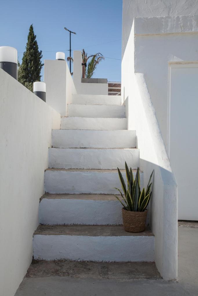 FINCA LA CAÑADA SANTA POLA photo 4