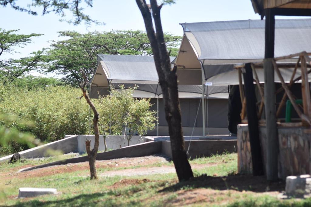 Mara Safaris lodge tent camp photo 1