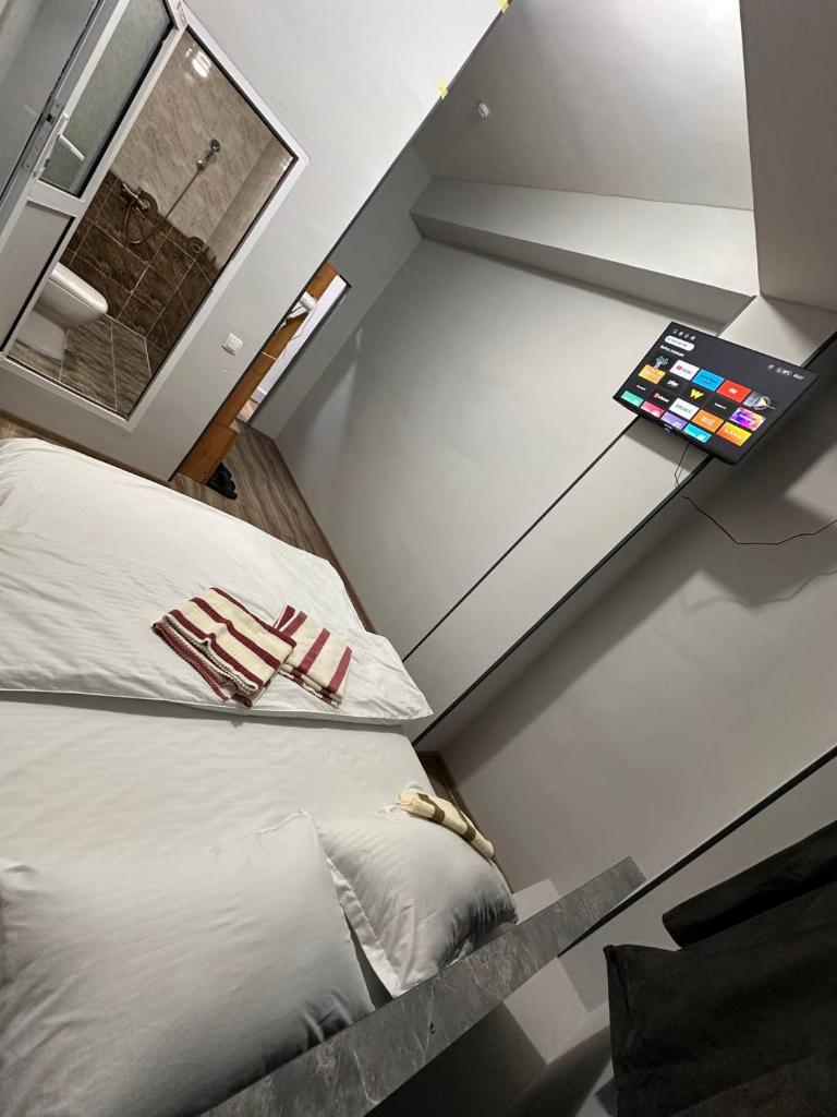ALGO HOTEL photo 4
