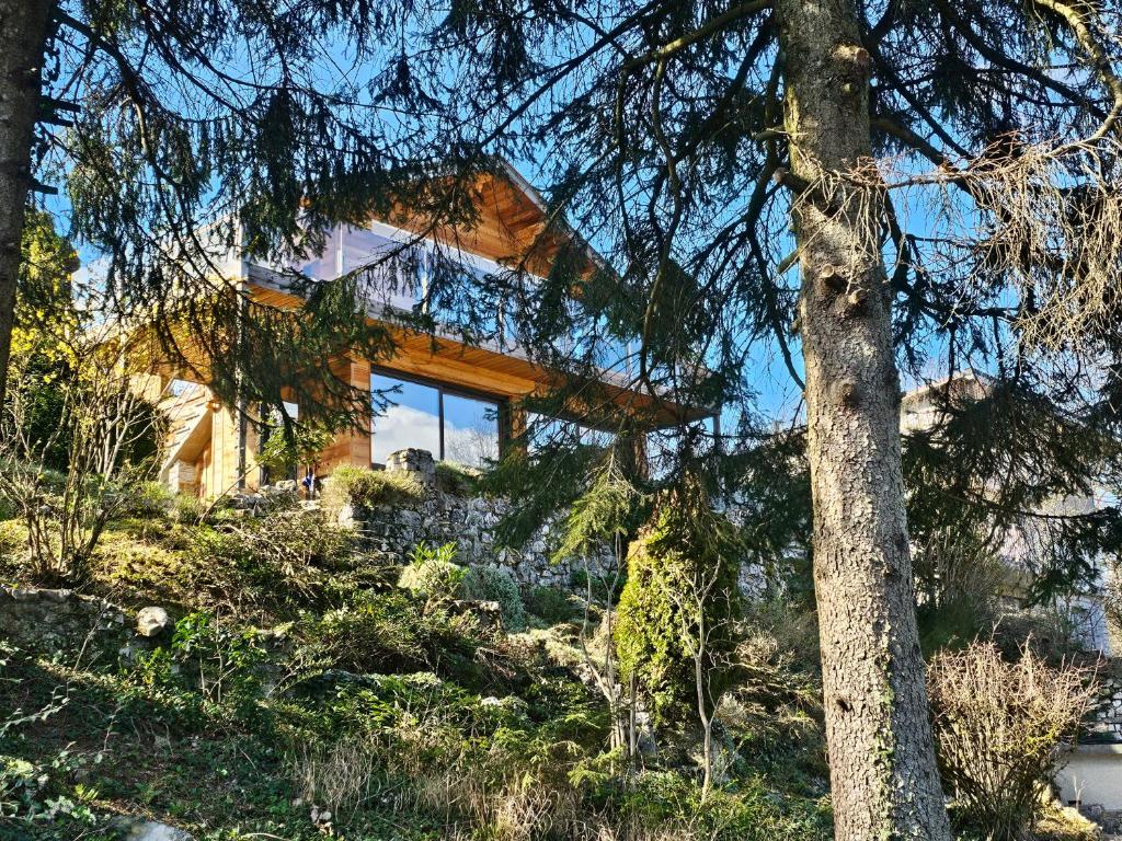 Bois des Alpes