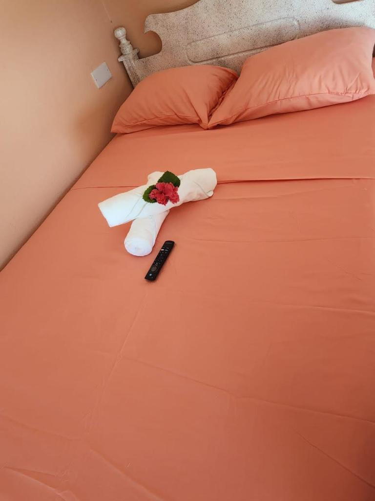 Rose Hideaway photo 4