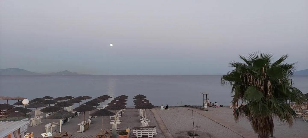 Beachfront Bliss photo 1