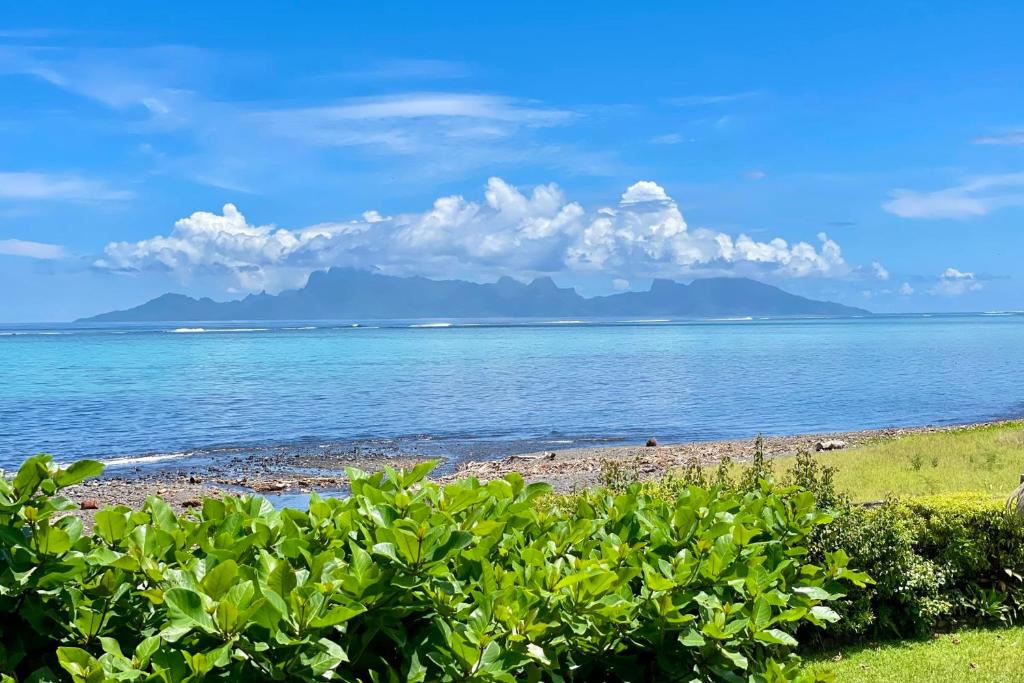 Kahaia beach home with pool amazing seafront black sand beach and reef photo 2
