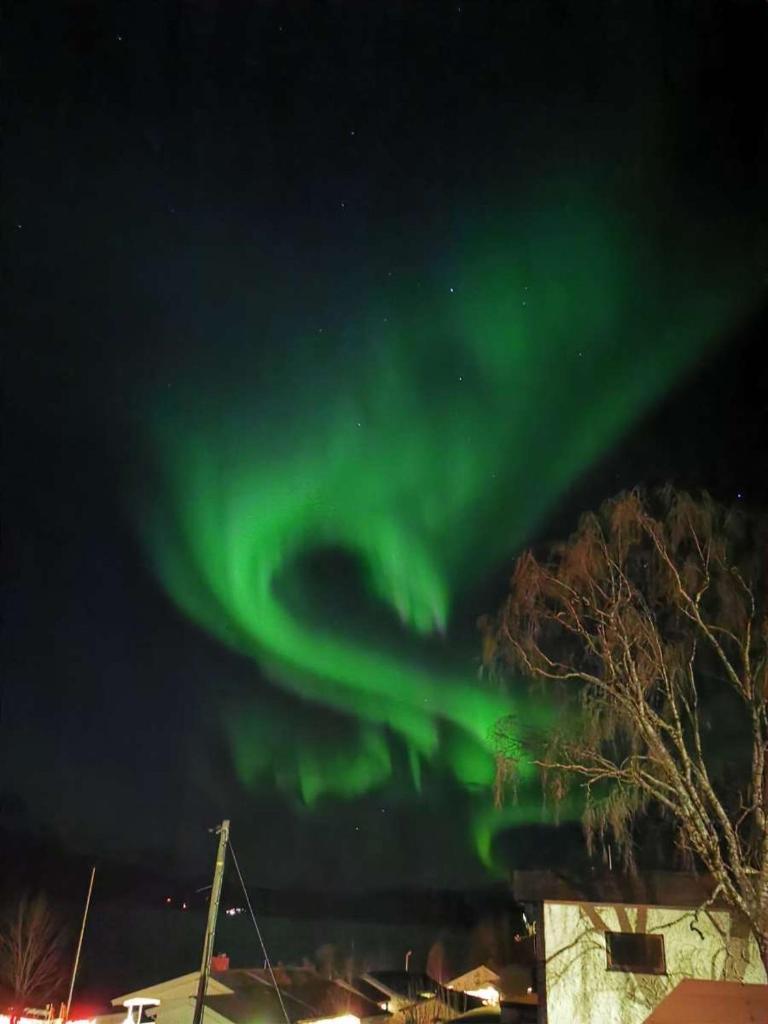 Koselig overnattingssted med fjordutsikt photo 4