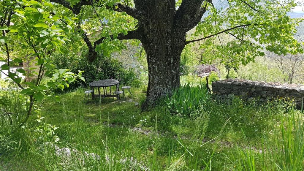 Gite de Chasteuil - Verdon photo 3
