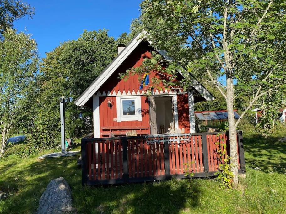 By Lake Rusken - 2 cottages - fantastic nature photo 4