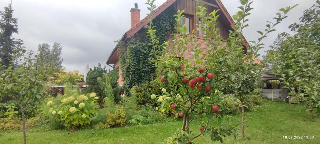 Dom Rodzinny w Niedźwiedzim Rogu- nad Śniardwami photo 2