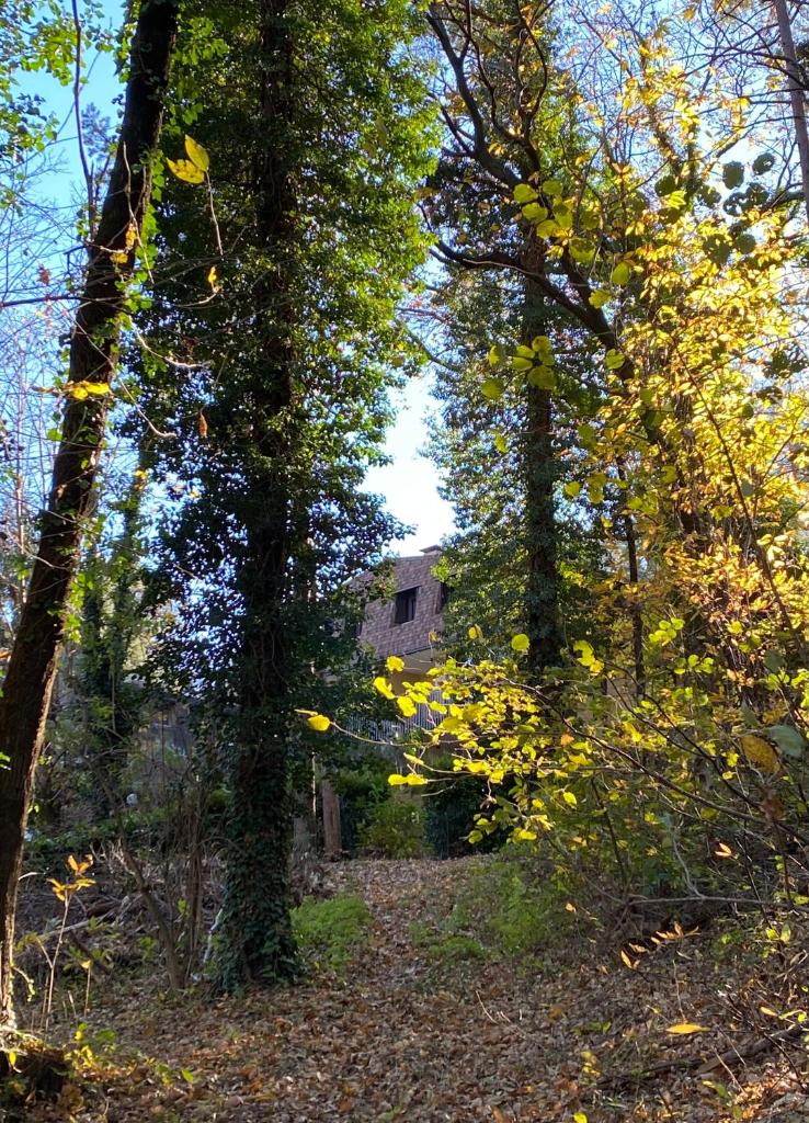 LA CASA NEL BOSCO, DI MARI photo 3