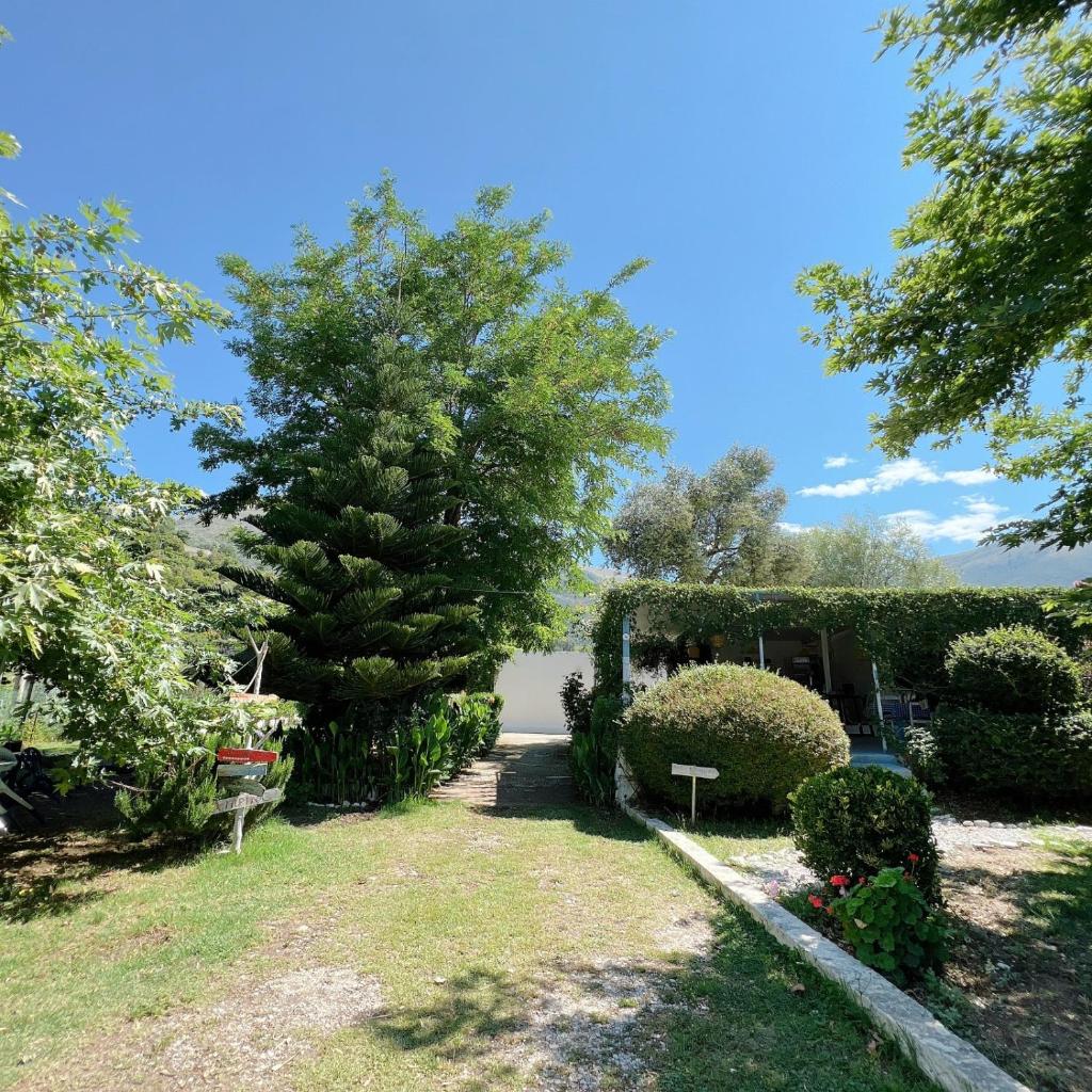 Garden Villa Naza photo 1