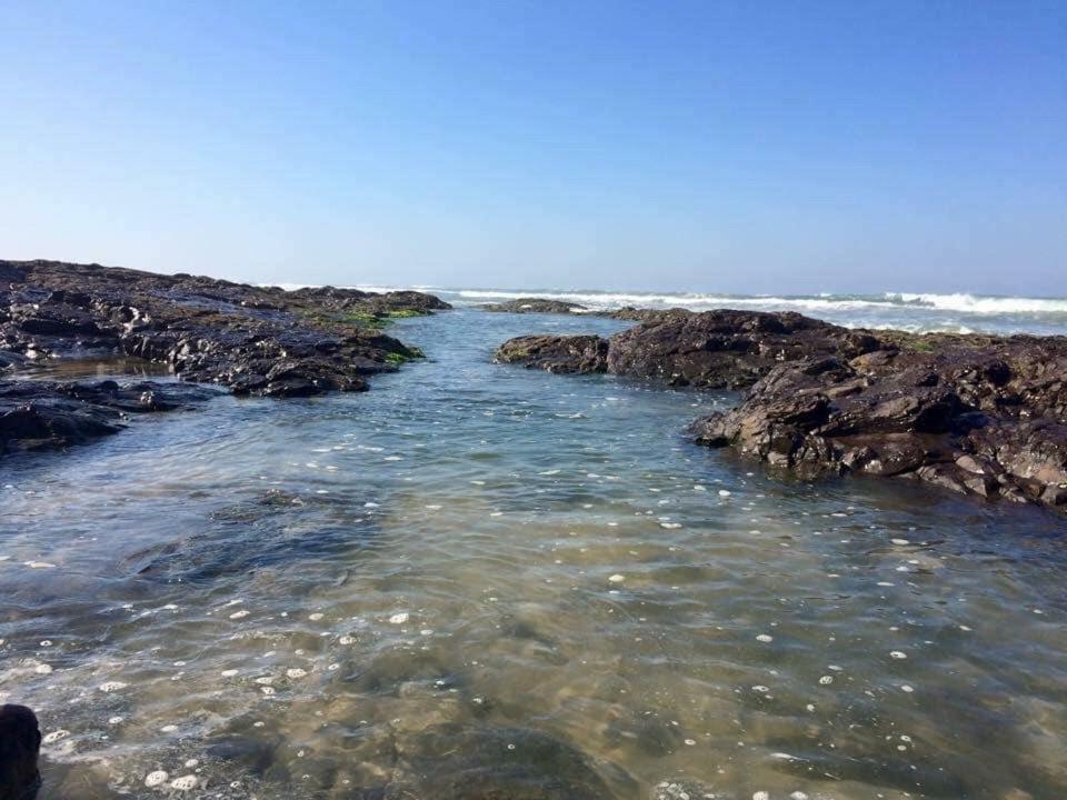 Bangalô em frente a reserva ecológica e 300m do mar photo 2