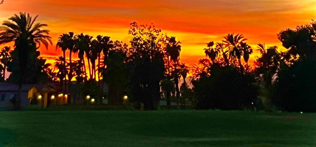 *Endless Indio Sunsets*Walk to Music Festivals! photo 1