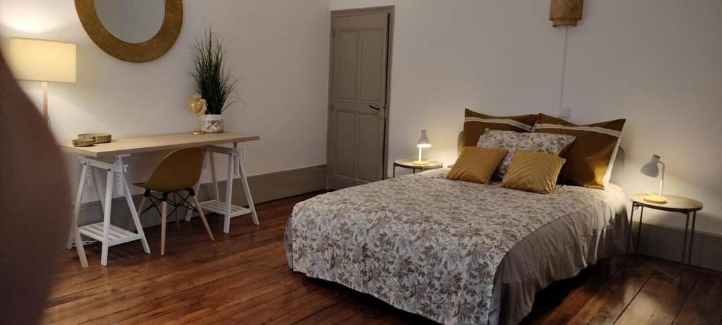grand appartement hyper centre Castres photo 2