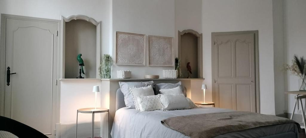 grand appartement hyper centre Castres