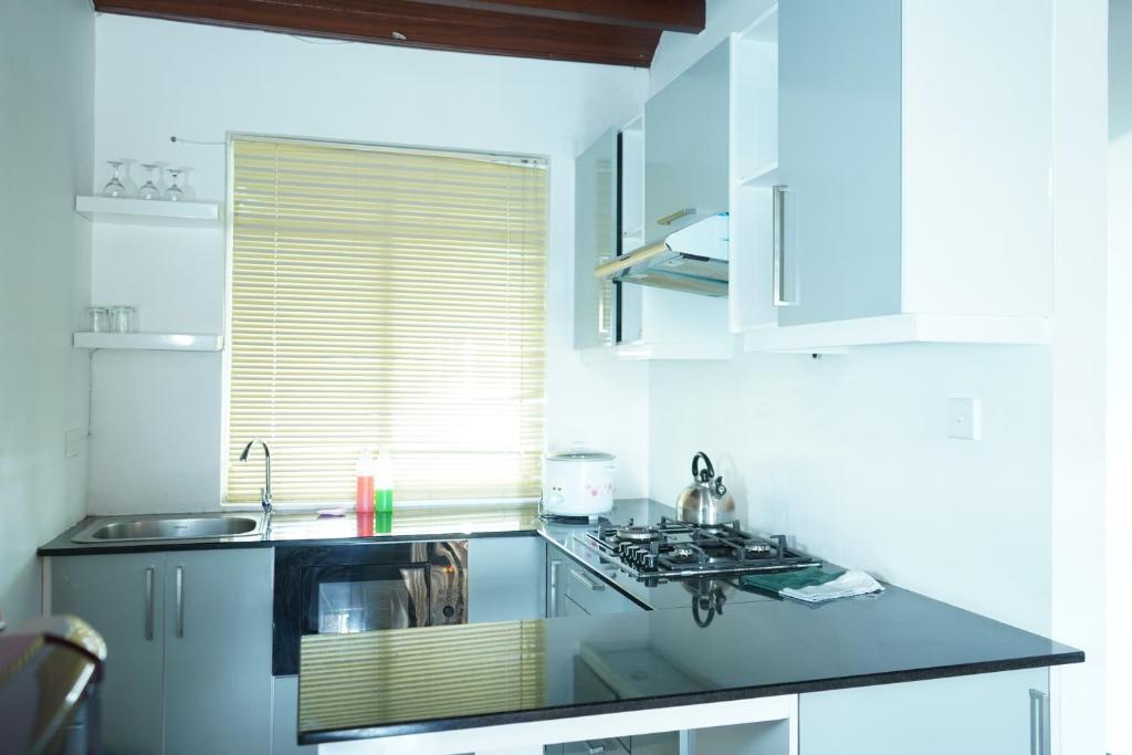 Lake infinity Penthouse photo 4