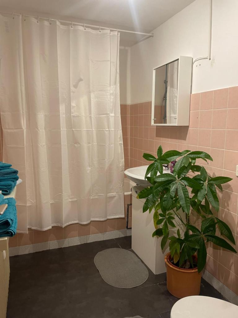 Ruhige 2-Zimmer-Wohnung für 1 - 4 Personen nahe Würzburg von privat photo 4