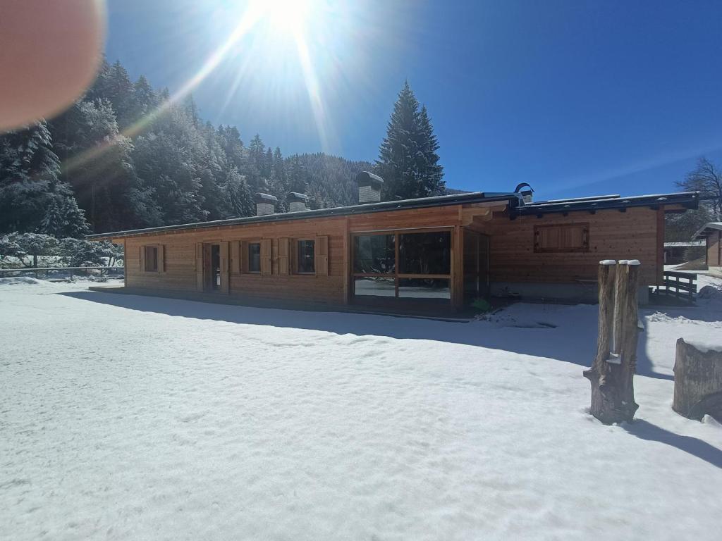 Andalo Chalet photo 4