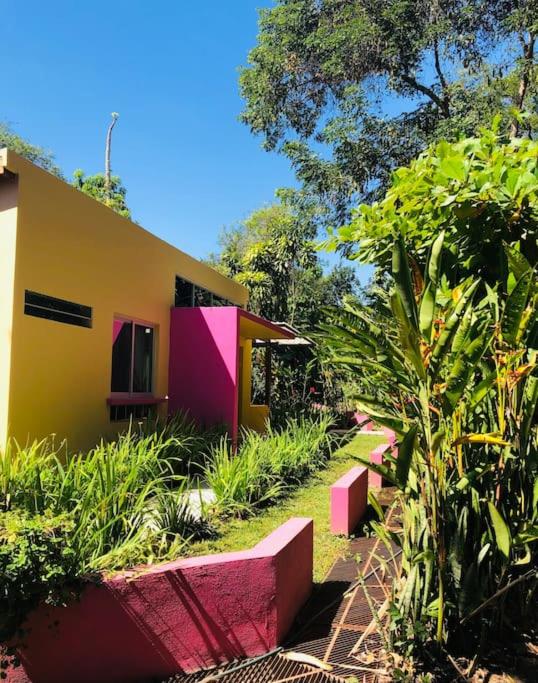 Casita Primavera / Casa Comalli photo 2