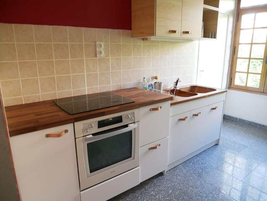 Maison au calme avec jardin à 5 min de Tournus photo 4