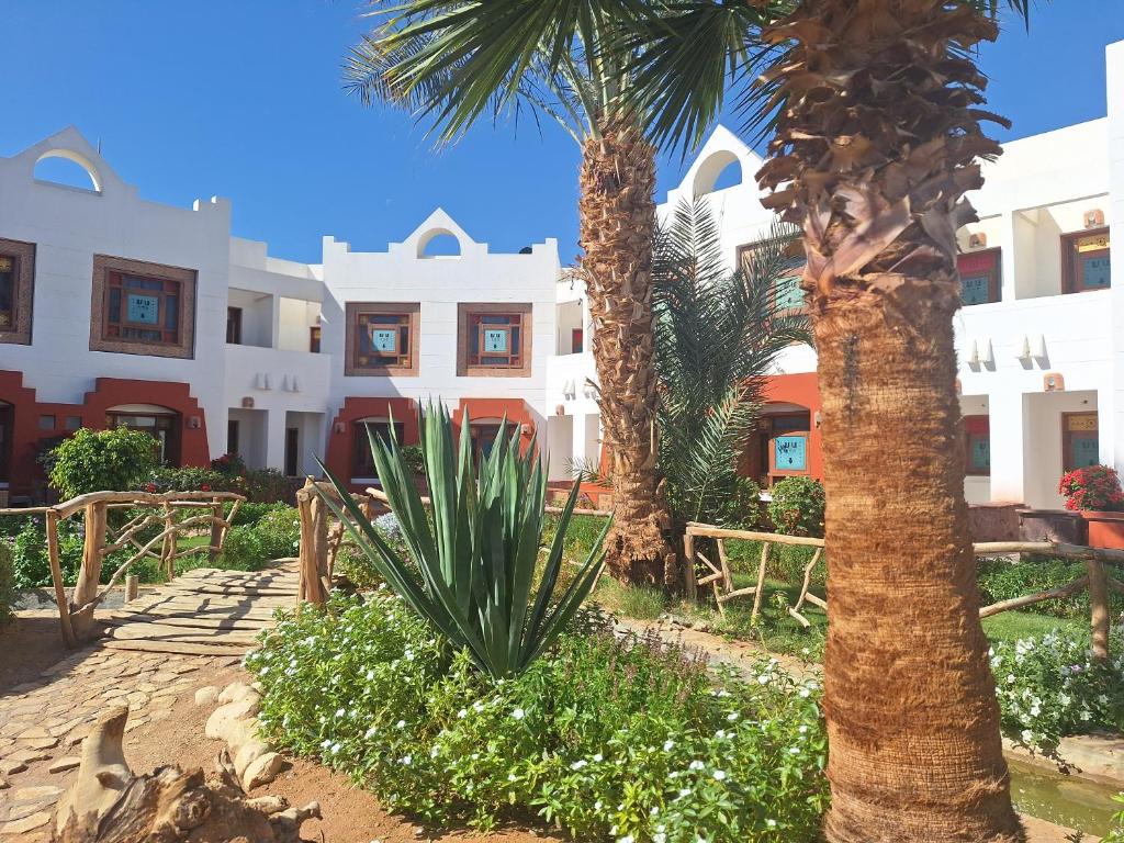Sharm Inn Amarein - Boutique Hotel photo 2