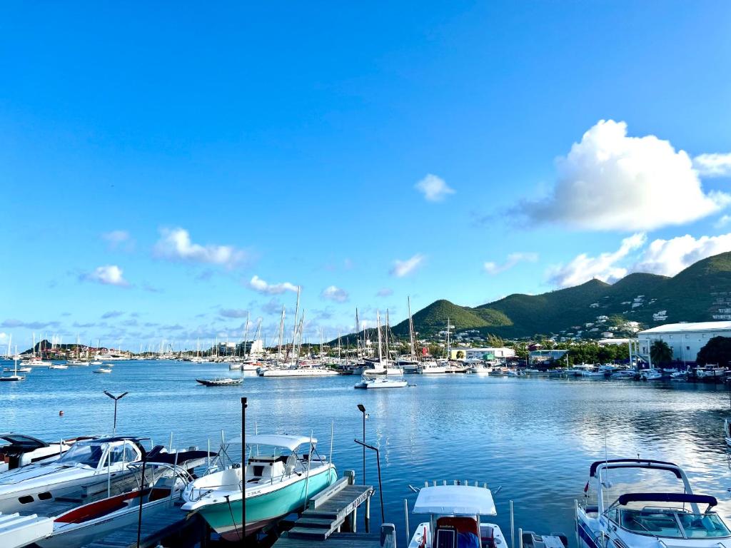 Luxury Simpson bay condo