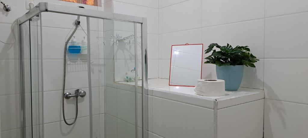 Homestay Maio Apartment photo 1