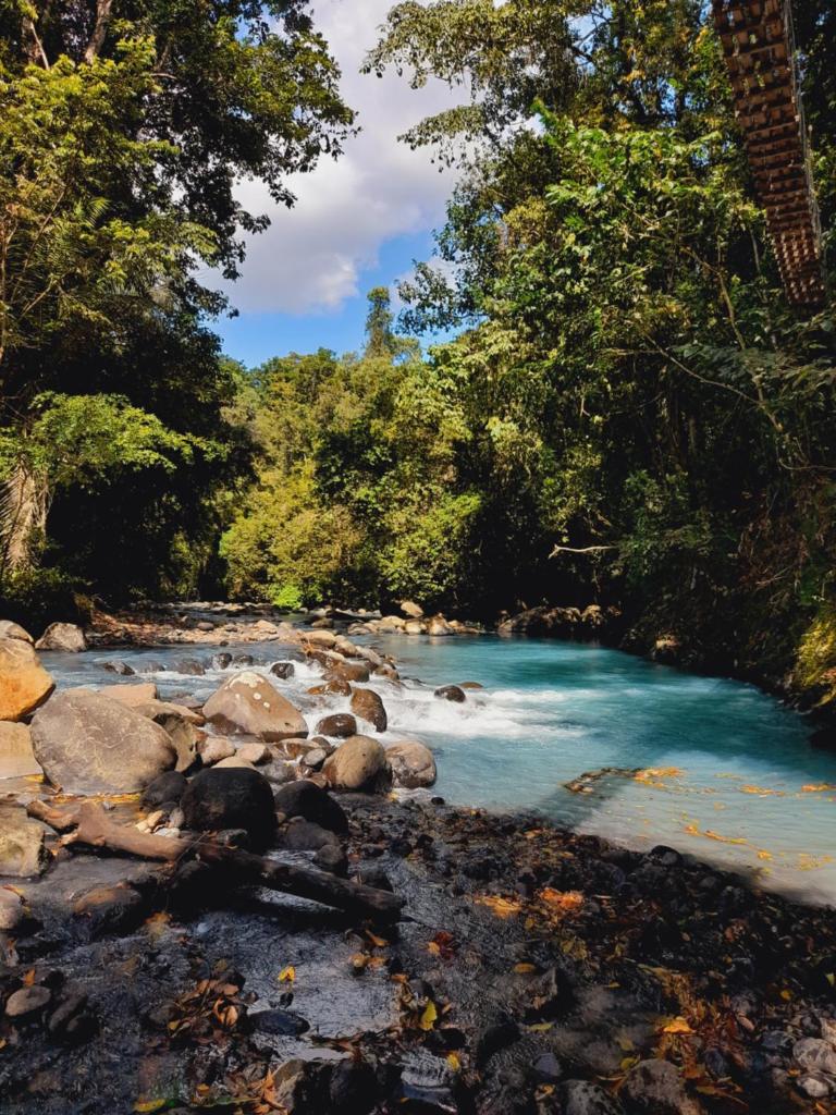 Onca Tours & Treehouses photo 2