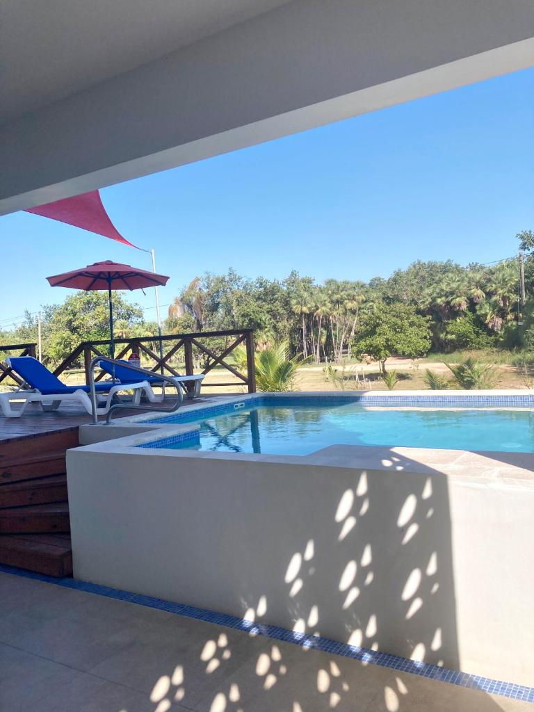 The Tiki Toucan Tropical Suite + Private Pool photo 2