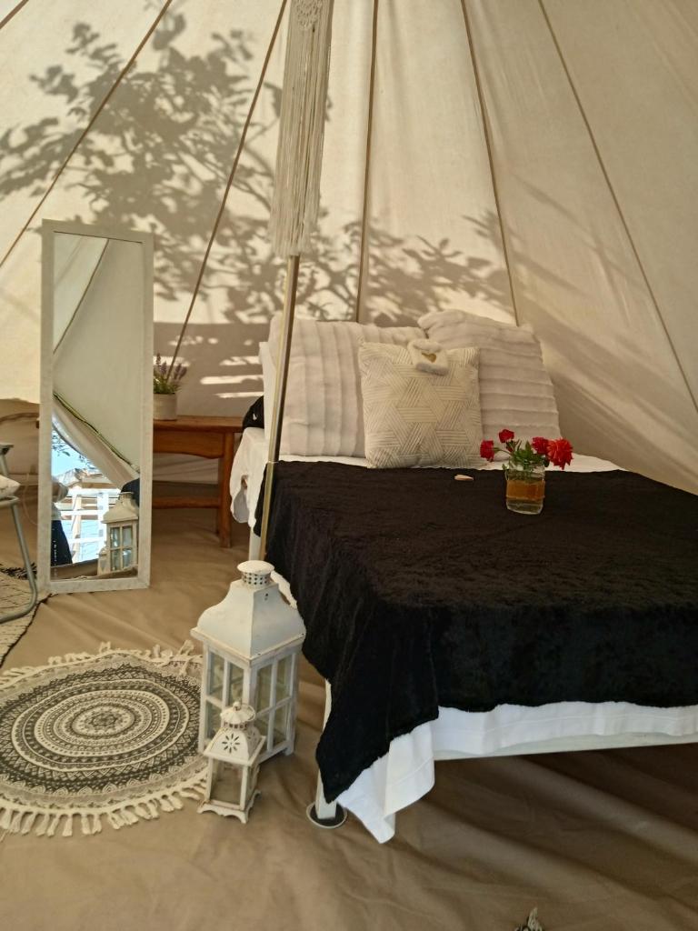 Queens Luxury Glamping photo 3