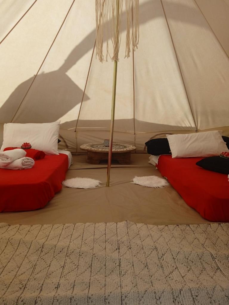 Queens Luxury Glamping photo 2