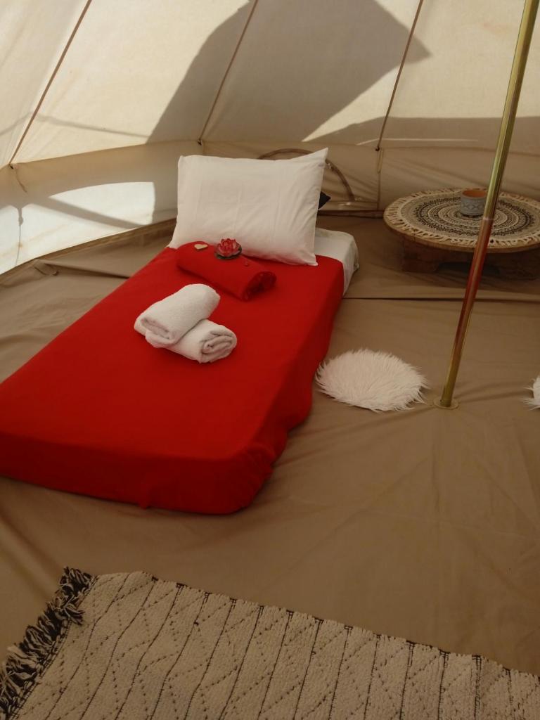 Queens Luxury Glamping photo 1