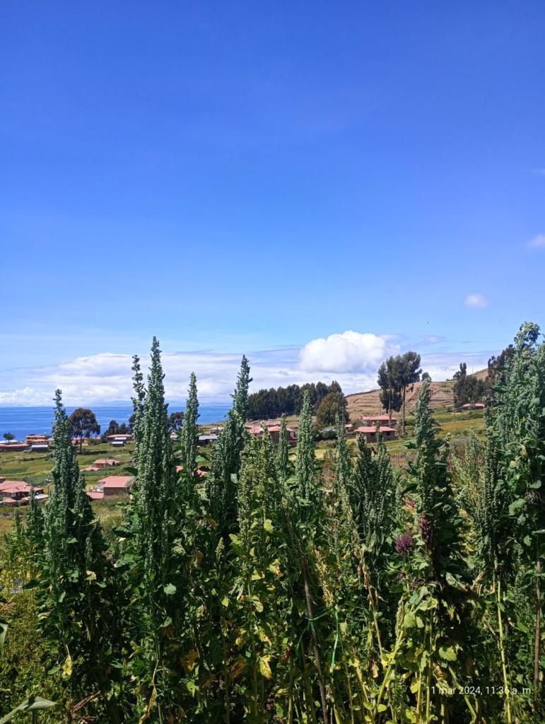 Tukuypaj lodge photo 1