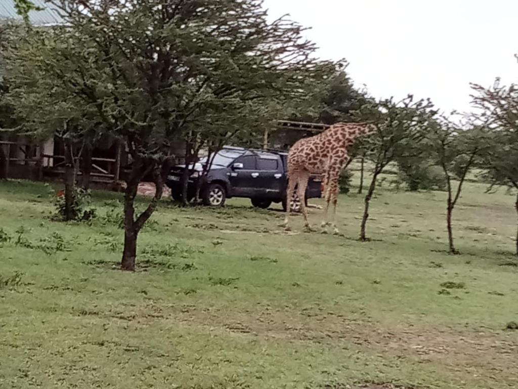 Narasha Homestay - Maasai Mara photo 2