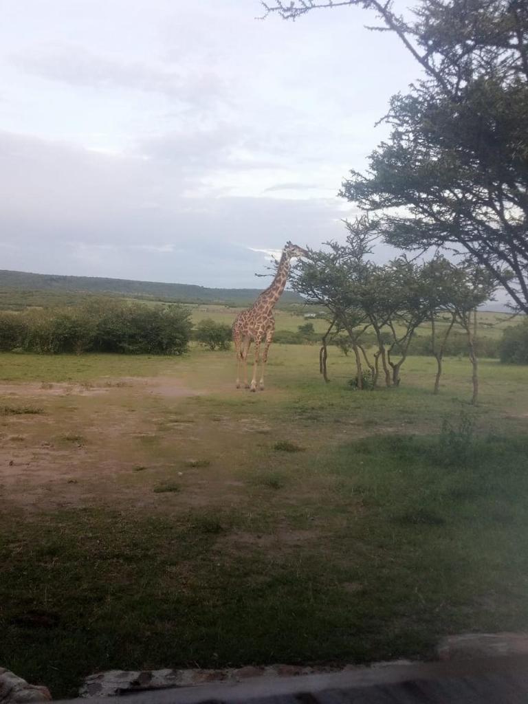Narasha Homestay - Maasai Mara photo 1